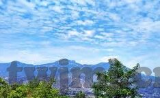 成人影视在线视频-成人影视在线视频，信息时代的文化现象与影响