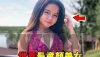 大象传媒app-探索大象传媒APP，数字时代的文化传播新阵地