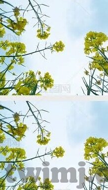 大象传媒无需下载-无需下载，大象传媒的即时娱乐新体验