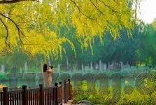 麻d大象传媒-麻d大象传媒，数字时代的文化桥梁与创意先锋