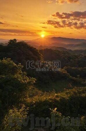 麻豆传媒 视频-麻豆传媒视频的多元视角与影响