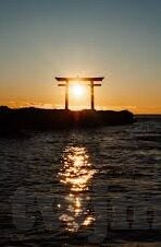 糖心app官网入口ios-深度洞见，一个关于糖心应用在iOS平台的探索