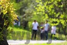 糖心vlog官网入口地址-糖心vlog的线上新世界，点燃创意与分享的火花